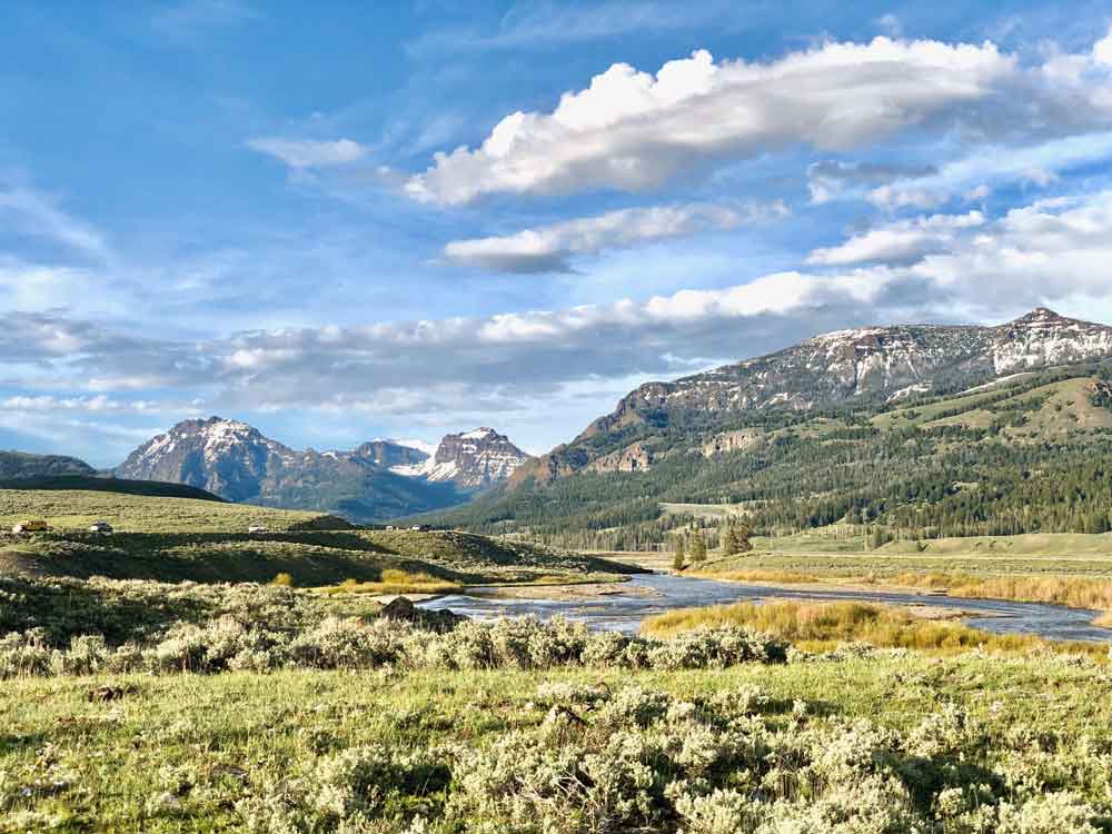 Yellowstone backcountry